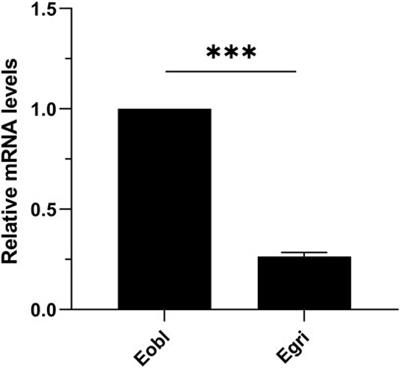 Comparative expression profiles of carboxylesterase orthologous CXE14 in two closely related tea geometrid species, Ectropis obliqua Prout and Ectropis grisescens Warren